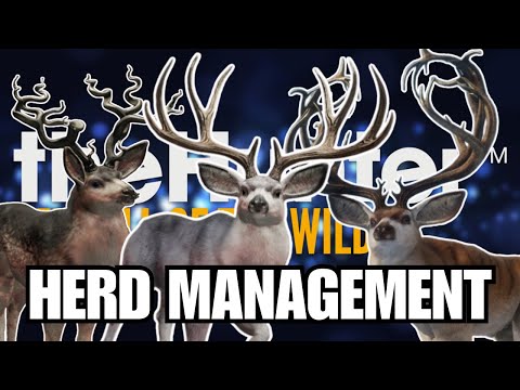 The SIMPLEST Beginner’s Guide to HERD MANAGEMENT