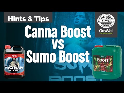 Battle of the Boosts! SHOGUN Sumo Boost vs Canna Boost Accelerator | Hints & Tips