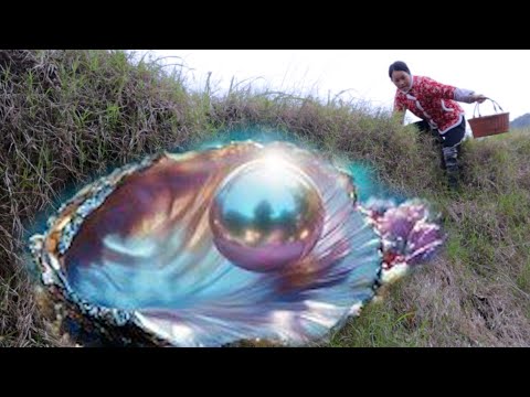 😱😱 Giant clams, girls harvest beautiful and charming blue pearls in the deep pool