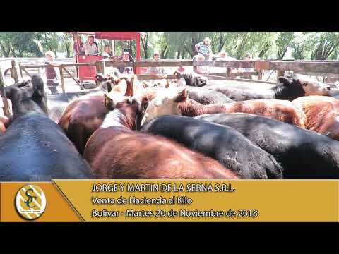 20-11-18 Venta de Hacienda al Kilo - Jorge y Martin De La Serna S.R.L. - Bolivar