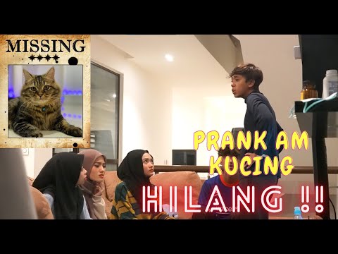 AM DENGAN MARSYA G4DUH ?!- PRANK AM KUCING HILANG !