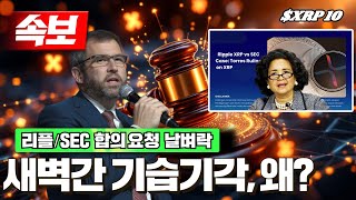 코인우먼