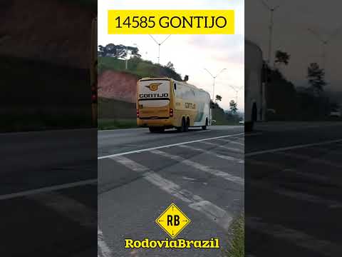 De Euclides da Cunha para são Paulo na Fernão Dias km 41 #rodoviabrazil #short #bus #onibus