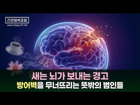 혹시 당신의 뇌가 새고 있나요? 후각 상실로 시작되는 보이지 않는 위험