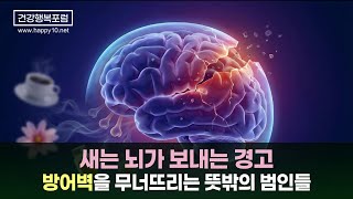 혹시 당신의 뇌가 새고 있나요? 후각 상실로 시작되는 보이지 않는 위험