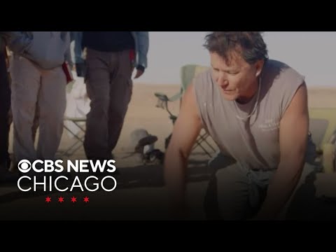 University of Chicago researchers discover new dinosaur