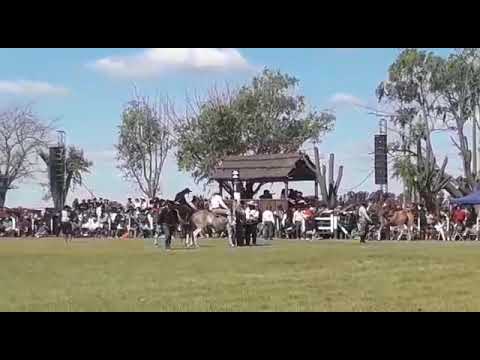 Facundo López Díaz en el  Mustafa de Monti Lincoln Bs As