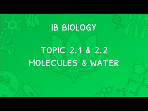 IB Biology Topic 2.1 & 2.2: Molecules & Water