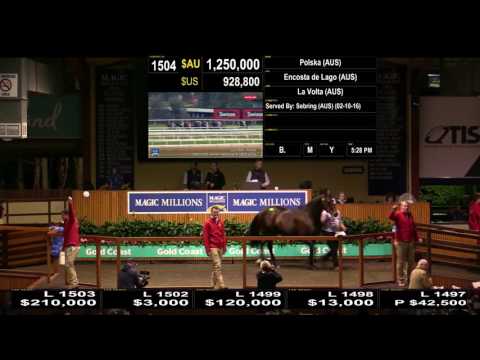 Lot 1504 - Polska (AUS) - 2017 National Broodmare Sale