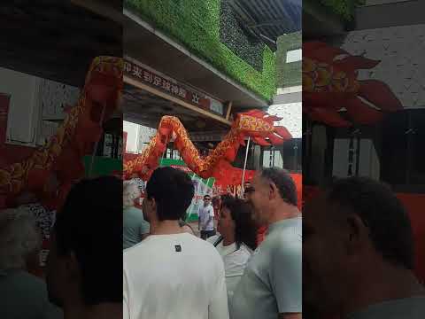 La Ciudad de bs as celebra la llegada del Año del Caballo de Fuego, en el marco del Año Nuevo Chino