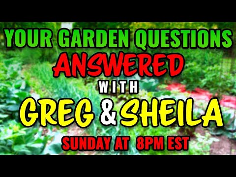 Gardening Tips and Tricks | LIVE
