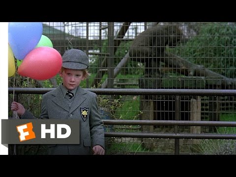 ロンドンのアメリカ人狼 (7/10) Movie CLIP - Naked at the Zoo (1981) HD (An American Werewolf in London (7/10) Movie CLIP - Naked at the Zoo (1981) HD)