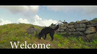 This is me! Chapter: 1 | Ep. 2