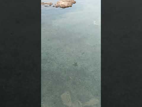 Lagoa santa estado de Goiás.