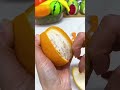 Easy-Open Orange Peeler