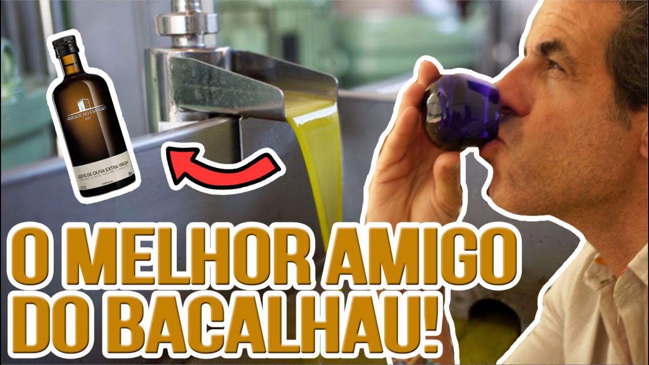 Um passeio pela Herdade do Esporão, em Évora