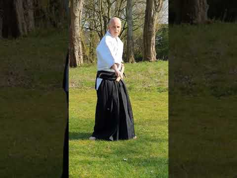 24. Aikido-Grundlagen-Tutorial: Battojutsu (für Aikido-ka)