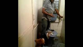 mr vinod plumber and electrician and jack of all trades repaired the flush tank which was not workin