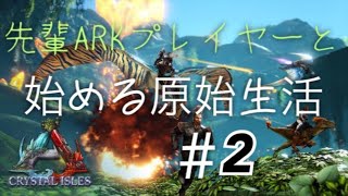 【PS4 ARK】先輩ARKプレイヤーと一緒に始める原始生活#2 資源集め回【みちまるARK部】