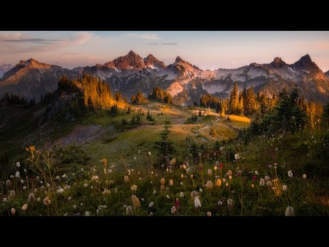 Mt. Rainier Wildflower Photography