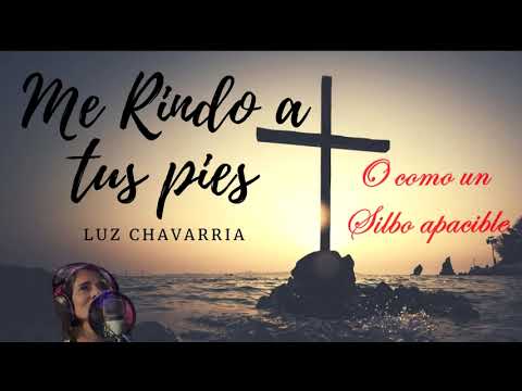 Me rindo a tus pies