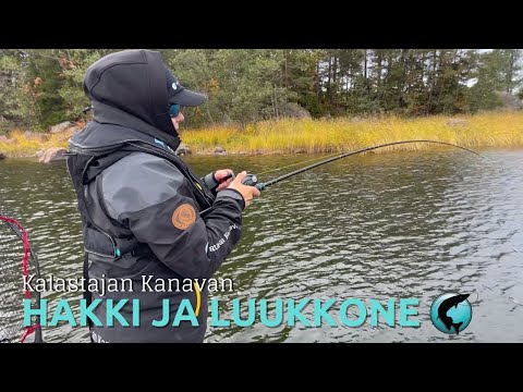 Kalastajan Kanavan haukivavat