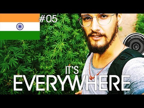 FIND HASHISH EVERYWHERE - The magic of Tosh | Parvati Valley | Sofian Worldwide #57