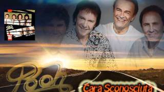 POOH    Cara Sconosciuta