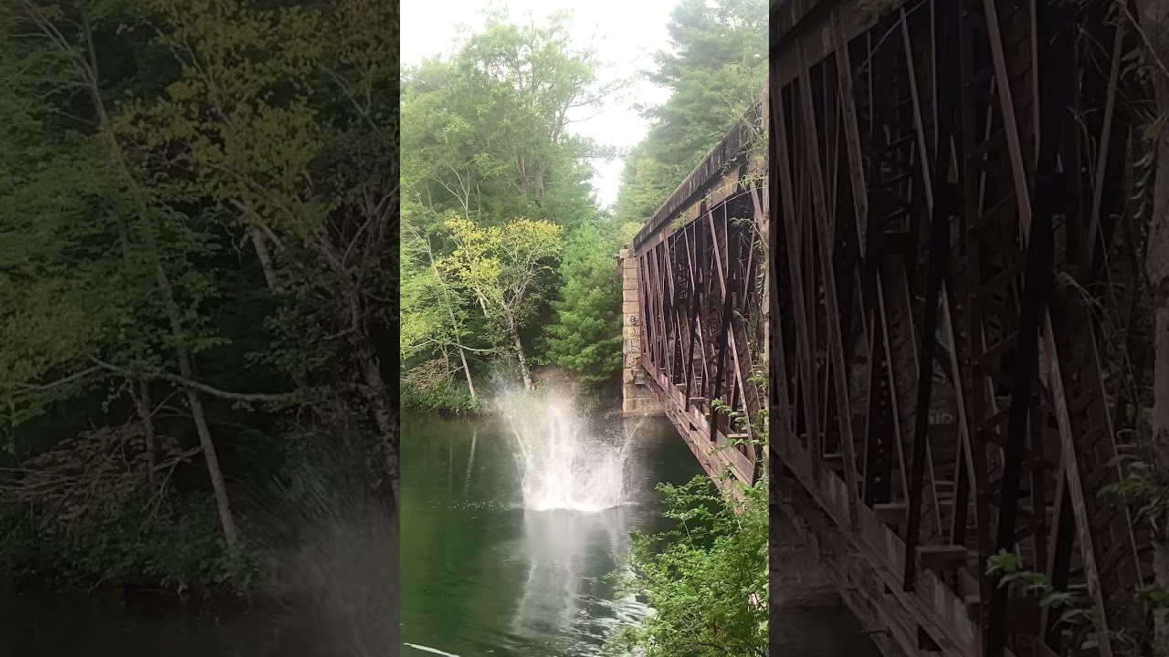 That belly flop didn’t feel the best tbh#flip #fail #funny #bellyflop #adrenaline