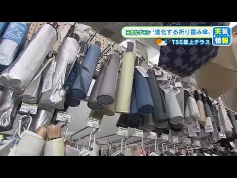 【風速15メートルに耐える進化系折り畳み傘】　人気は雨傘・日傘兼用タイプ&hellip;もはやメイン使いもアリなのか