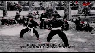 Download lagu story wa psht mp3
