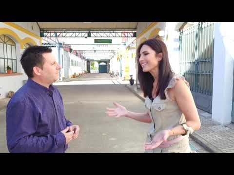 04 10 2018 PANORAMA PEÑARROYA-PUEBLONUEVO BLOQUE 1