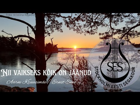 SES Nii vaikseks kõik on jäänud