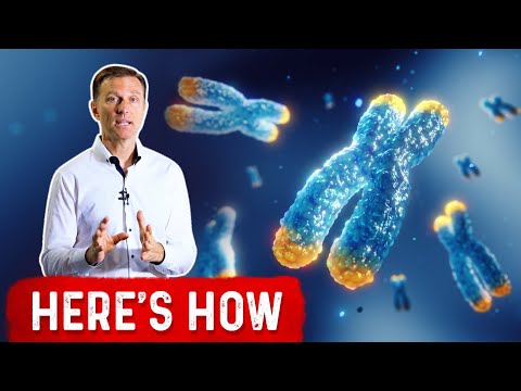 What are Enzymes and How do They Work Dr Berg