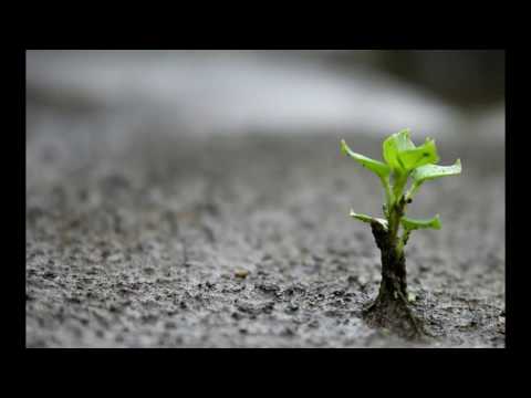 Max Cooper - Organa (Patrice Baumel Remix)