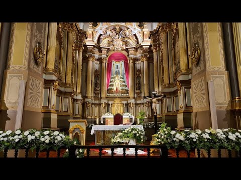 Milhares na Festa de São Martinho