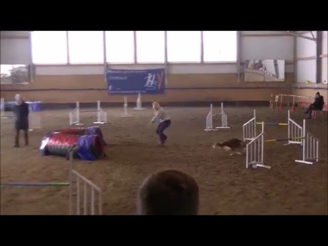 Nice Nayla - Jumping Open 2.Platz - Zellseecup 2016