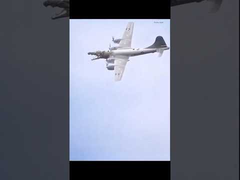 Bombardilo crocodilo #crocodilo #memes #funny #edit #foryou #fyp #viralshorts #shorts