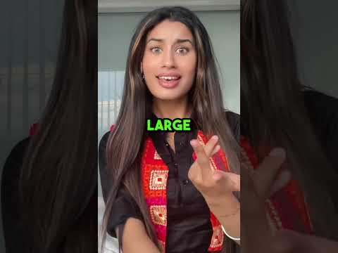 Punjabis Are NOT Like Other Indians