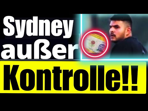 DAS WEIß MAN ÜBER DIE TÄTER.