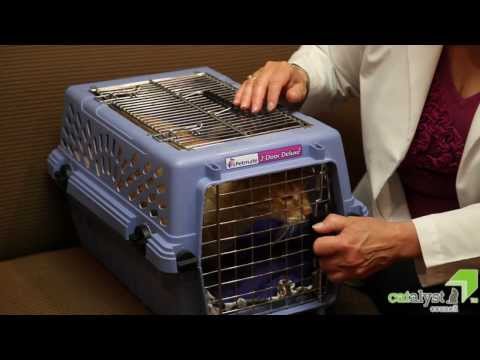 Choosing the best kind of carrier for your cat