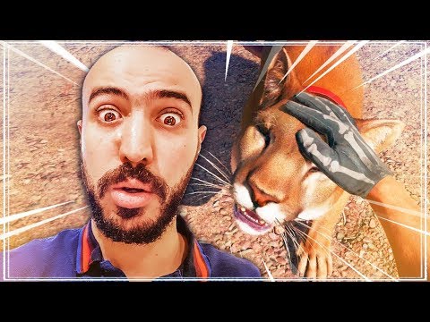 J'AI ADOPTÉ UN COUGAR SUR FAR CRY 5
