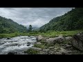 Purest Sounds Of Water For INSTANT Sleep ASMR River Water