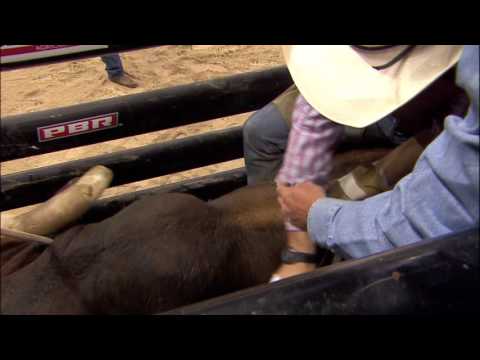 Matt Werries scores 81 points on Stick It (PBR)