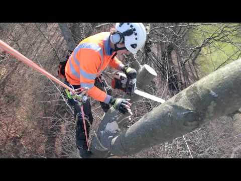 JF Tree Specialist Ltd. video.