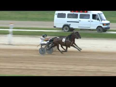 Lósport: Az elmúlt hétvége legjobb galopp-és ügető futamai a Kincsem Parkból