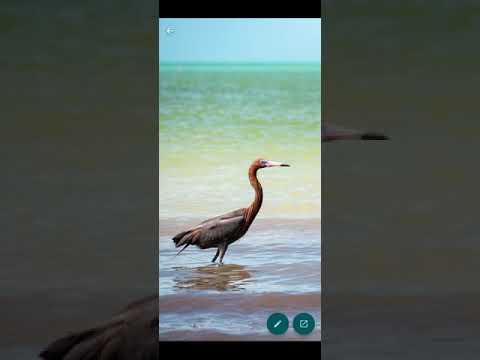 My Wallpapers