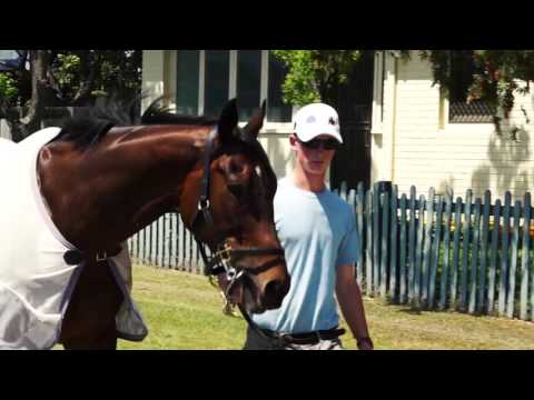 GaiTV -The Offer - CITY TATTERSALLS CLUB CUP