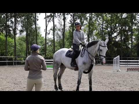 Jumping A Course with Meredith Michaels Beerbaum