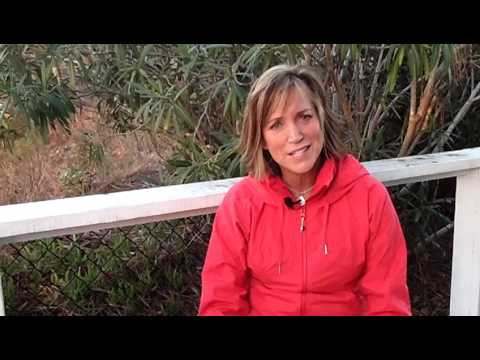 Aggressive feeding/paddock manners